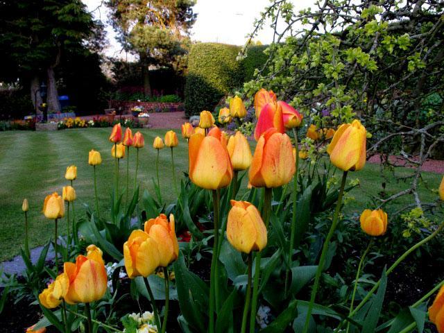 Reighamsyde House Bed & Breakfast Alnwick Bagian luar foto