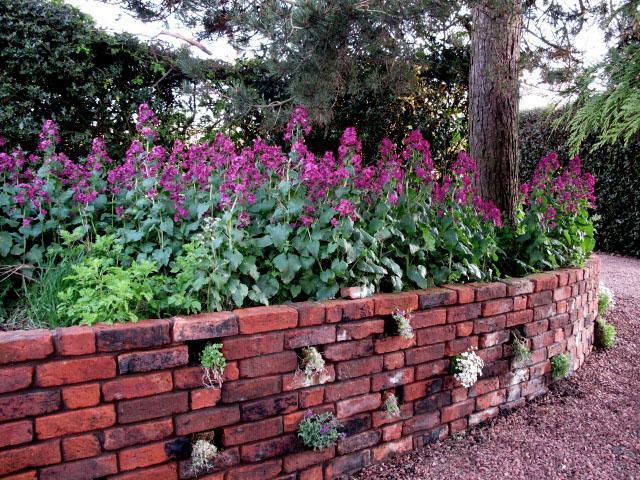 Reighamsyde House Bed & Breakfast Alnwick Bagian luar foto